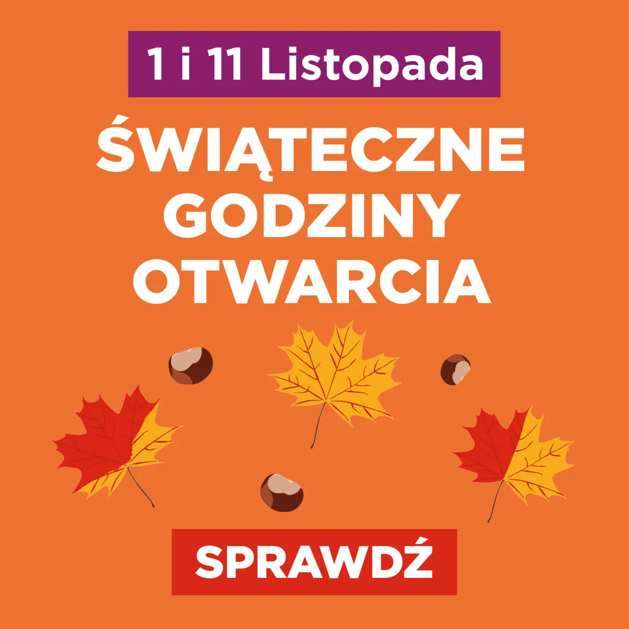 Zdjęcie Czy KFC jest otwarte 1 listopada? Sprawdź godziny i lokalizacje