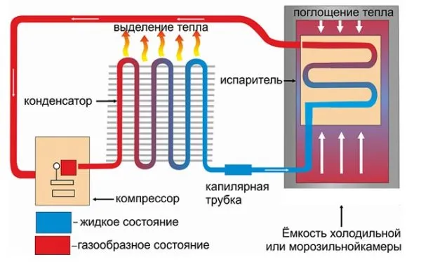 schemat cyrkulacji powietrza w zamrażarce