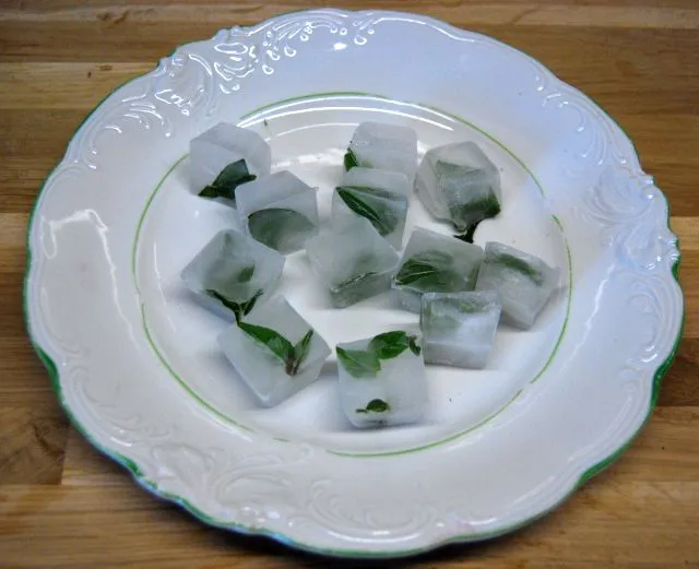 kostki lodu z ziołami i og&oacute;rkiem