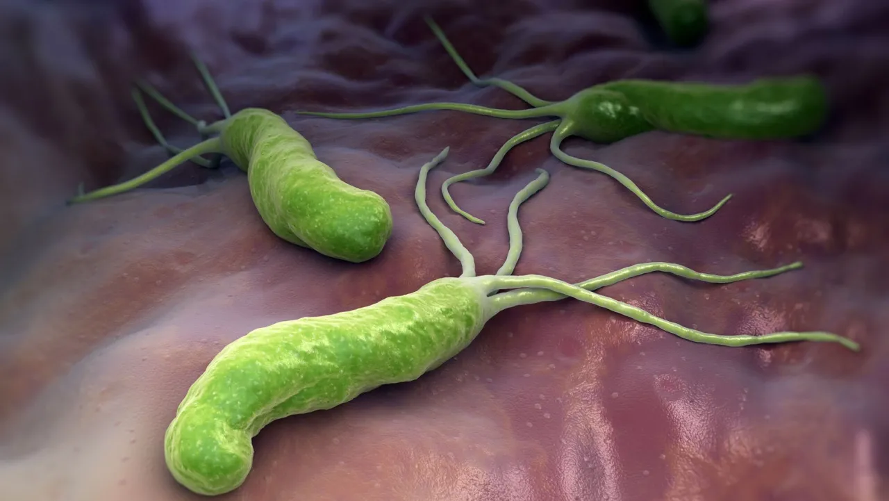 diagnostyka Helicobacter pylori test oddechowy