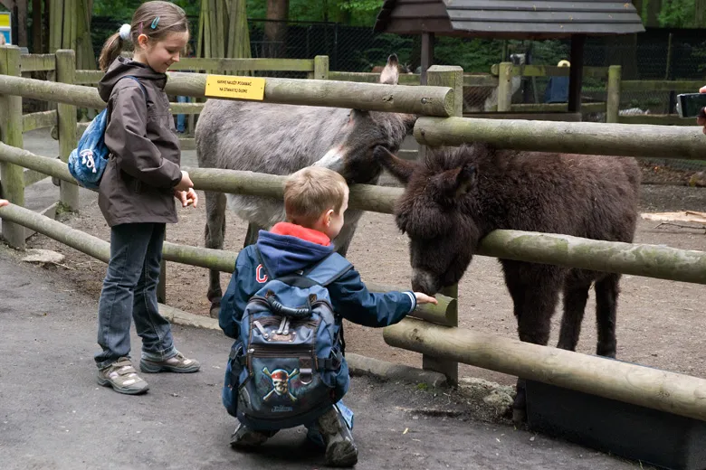 Krakowskie ZOO dzieci atrakcje