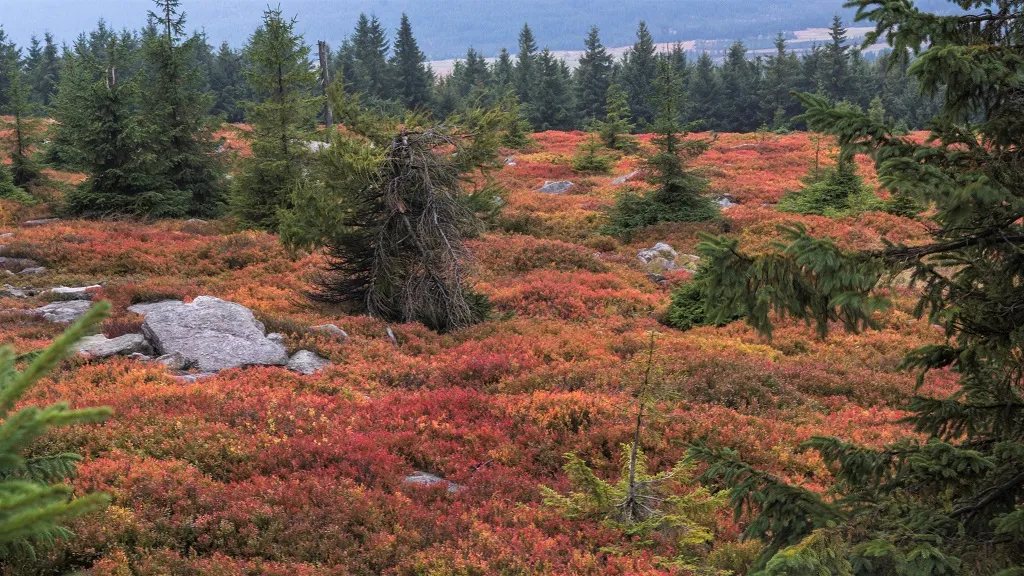 Góry Izerskie jesienią widoki