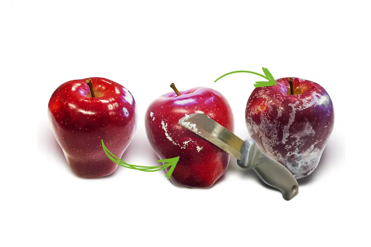 Trzy jabłka, jedno obierane. Czy jabłko to cytrus? Nie, to owoc ziarnkowy.
