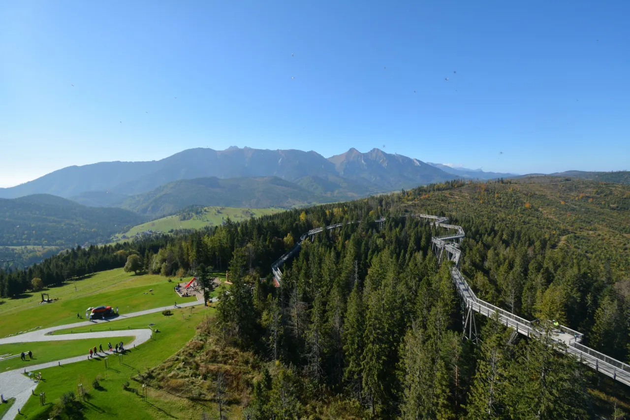 Widok na ścieżkę w koronach drzew w Bachledovej Dolinie, z górami w tle. Trasa wije się przez las.