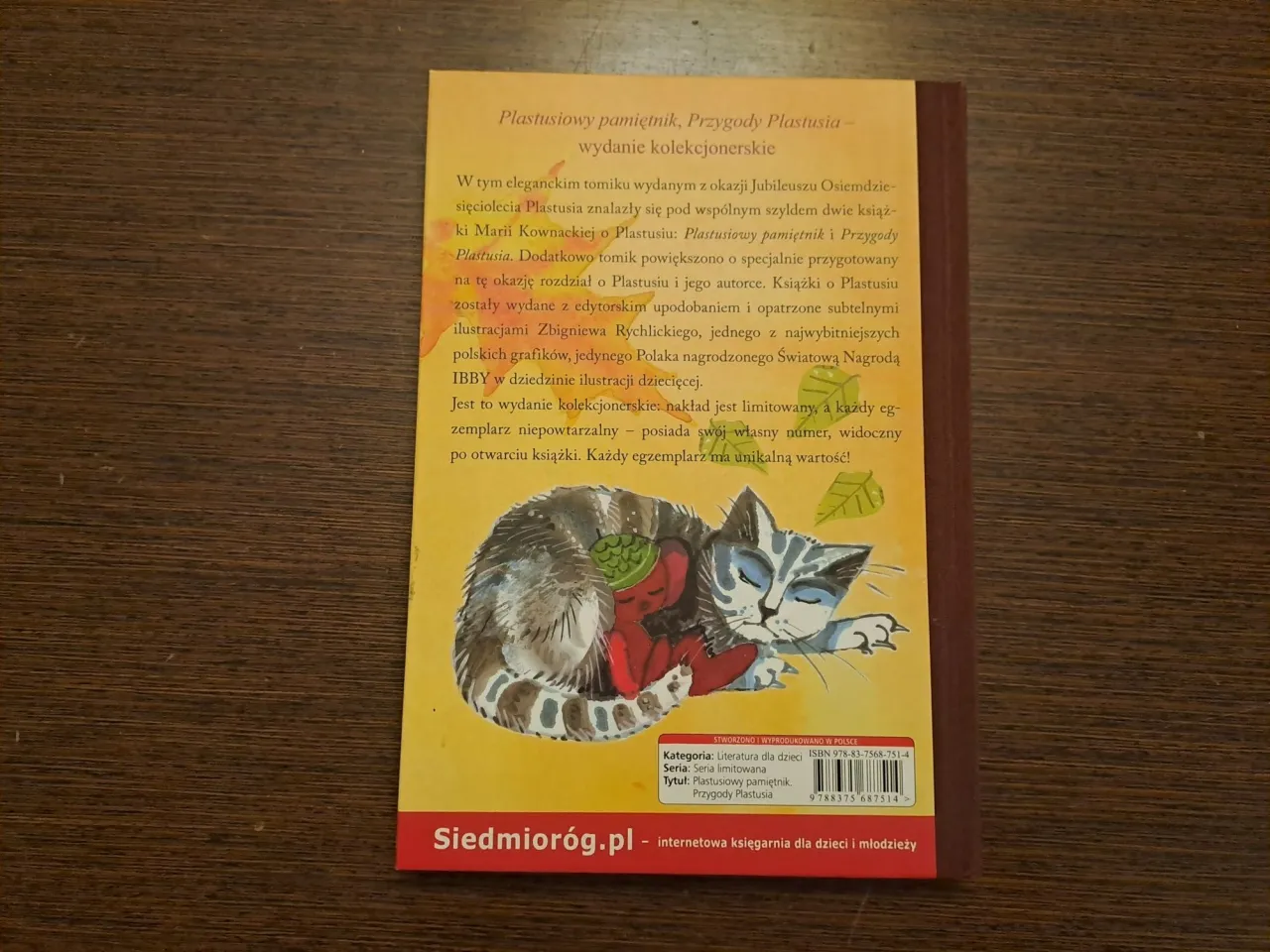 Kotek śpi na książce 