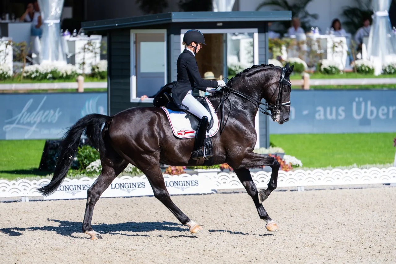 Tabela kategorii wiekowych jeździectwo PZJ
