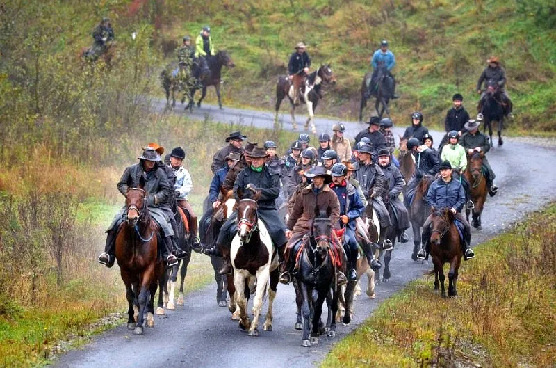 jazda konna Stadnina Gładyszów