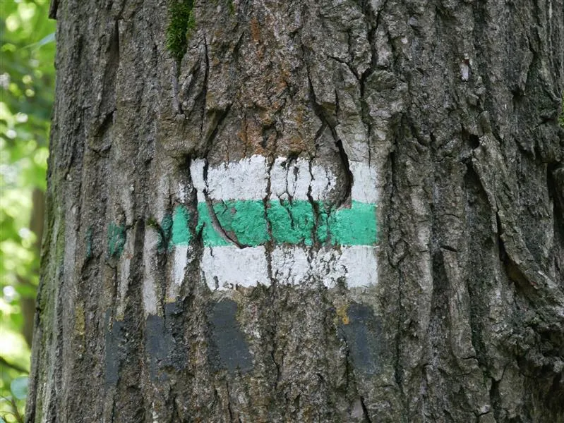 zielony szlak turystyczny oznaczenie