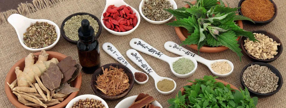 składniki spalacze tłuszczu