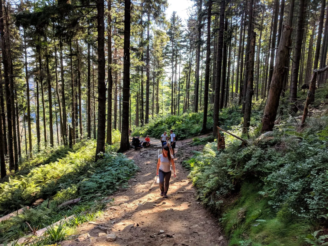 Babia Góra szlak czerwony z Krowiarek