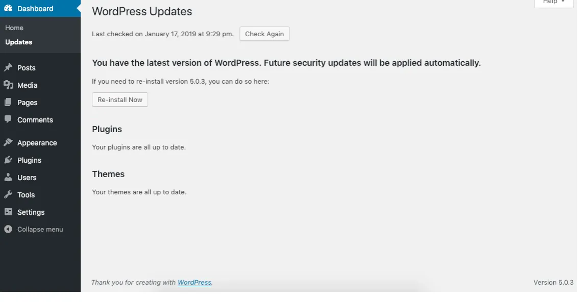 WordPress update process screenshot