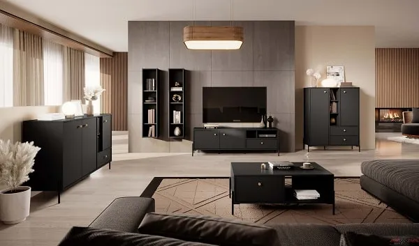 Jasny salon z ciemnymi meblami i jasnymi ścianami