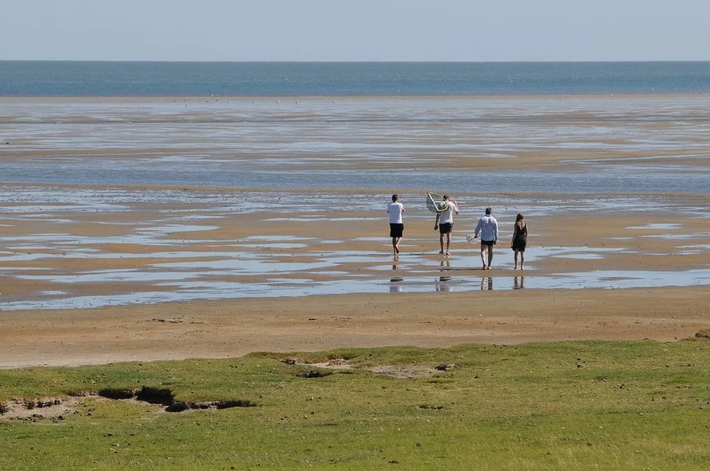 Morze Wattowe odpływ spacer po dnie