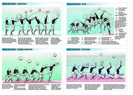 podstawowe techniki siatkówka schemat