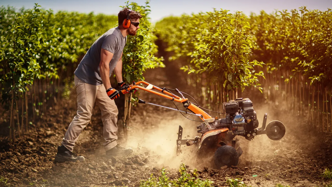 Mężczyzna w słuchawkach i okularach pracuje glebogryzarką, spulchniając ziemię w sadzie. Glebogryzarka do czego służy? Do przygotowania gleby pod uprawy.