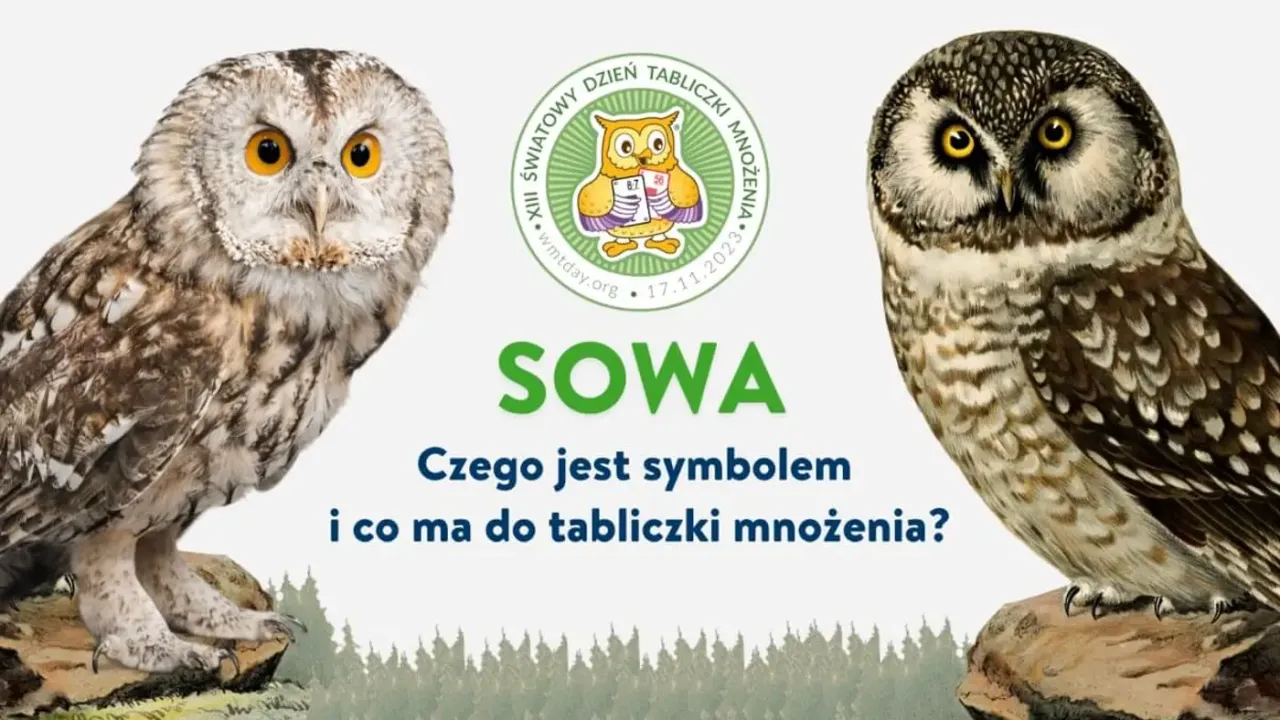 Zdjęcie Symbol sowy znaczenie: Od mądrości po śmierć w kulturach świata