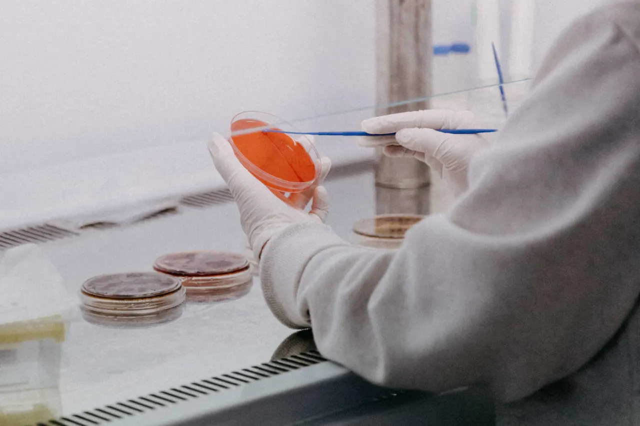 Zdjęcie Jak zrobić badania sanitarno-epidemiologiczne i uniknąć problemów zdrowotnych