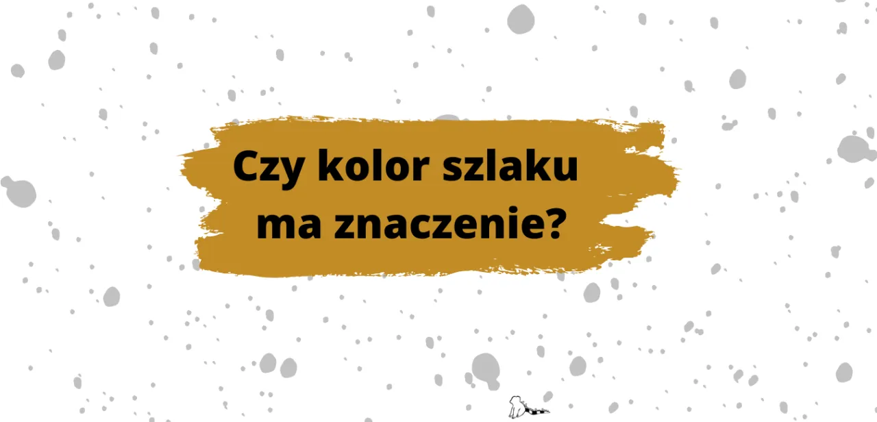Zdjęcie Kolor szlaku co oznacza? Odkryj znaczenie kolorów szlaków górskich