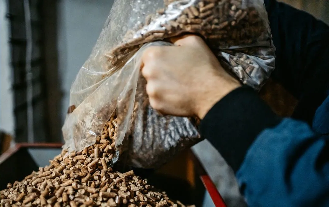 Zdjęcie Ile kosztuje pellet w Niemczech? Ceny, które zaskoczą i rozczarują