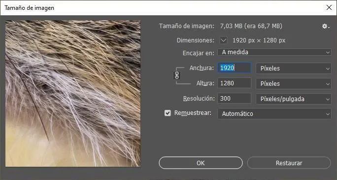 Zdjęcie Jak zmniejszyć obraz w Photoshopie i uniknąć utraty jakości
