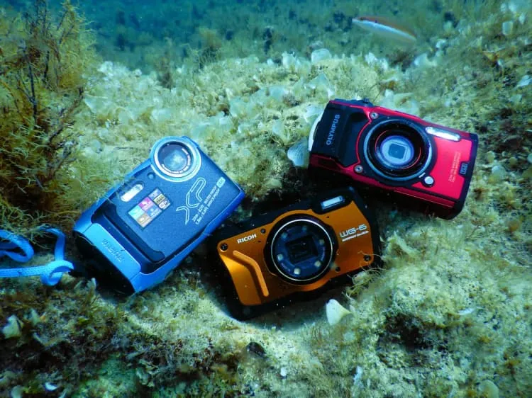 Zdjęcie Jak sprawdzić przebieg aparatu Nikon i uniknąć nieprzyjemnych niespodzianek