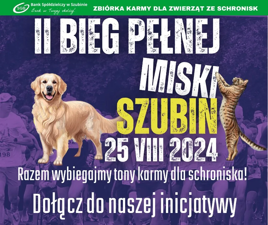 Zdjęcie Wolontariat w schronisku: Jak pomóc zwierzętom i dołączyć do akcji
