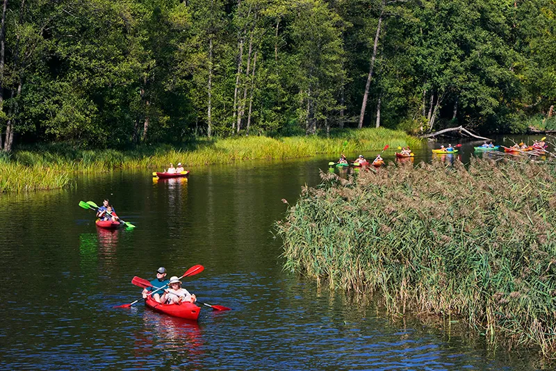 Zdjęcie Mazury kajakiem: Wybierz szlak i zaplanuj idealny spływ