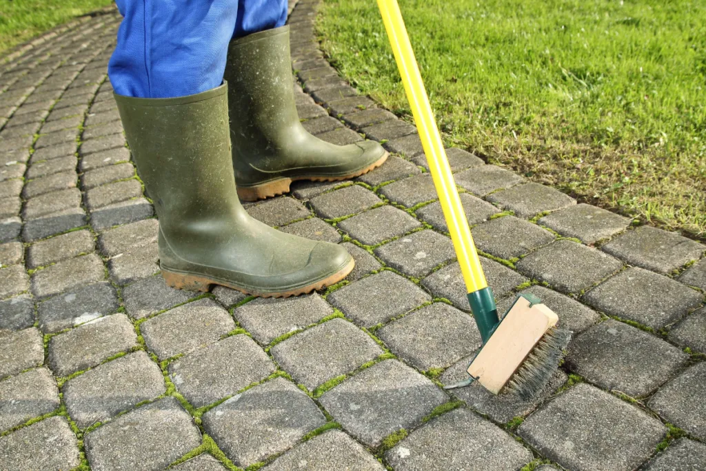 Zdjęcie Skuteczne sposoby na to, czym wyczyścić kostkę brukową z cementu