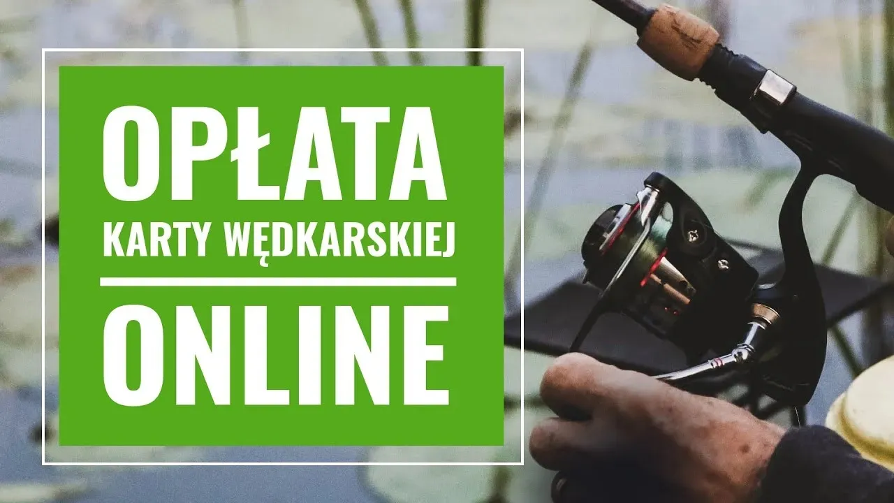 Zdjęcie Cennik łowiska Sazan: Przejrzyste opłaty i zniżki dla wędkarzy