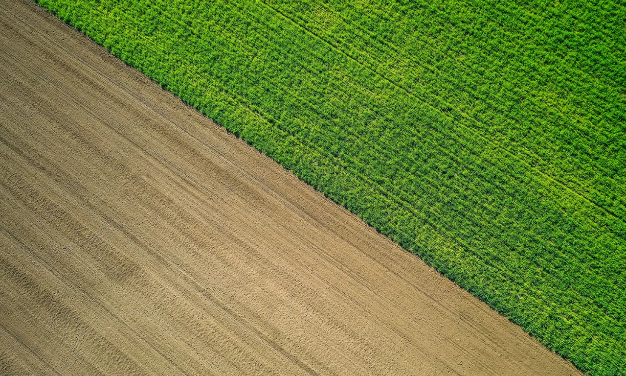 Zdjęcie Czy warto inwestować w ziemię? Odkryj ukryte korzyści i ryzyka