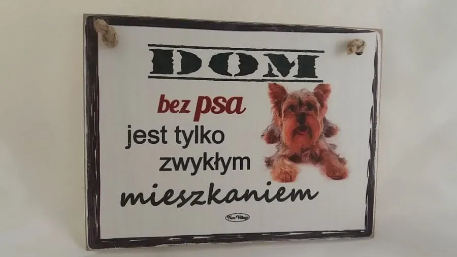 Zdjęcie Dlaczego dom bez psa jest tylko zwykłym mieszkaniem: prawda o więzi z psem