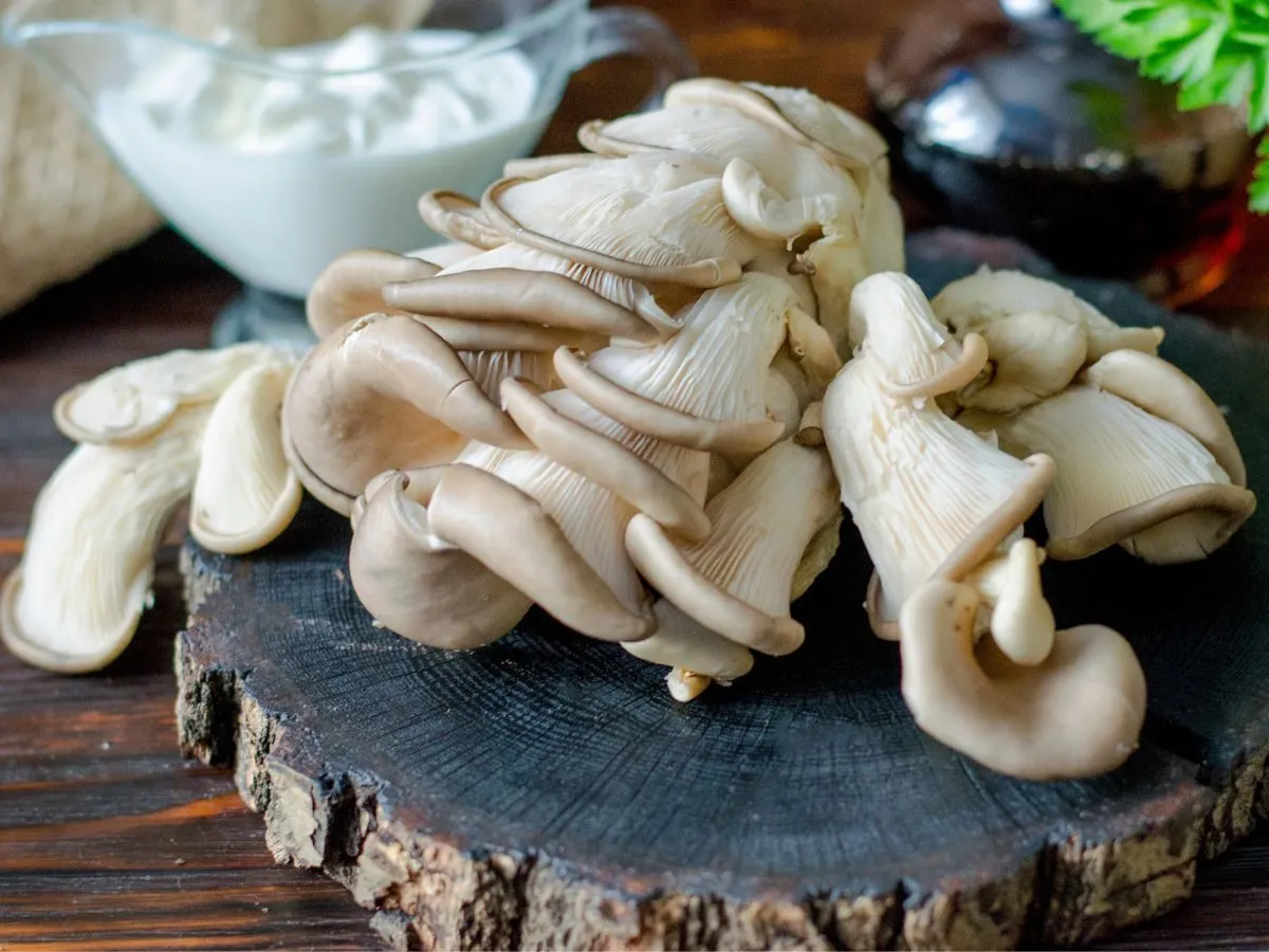 Zdjęcie Co zrobić z boczniaka na obiad? Proste i pyszne przepisy na dania