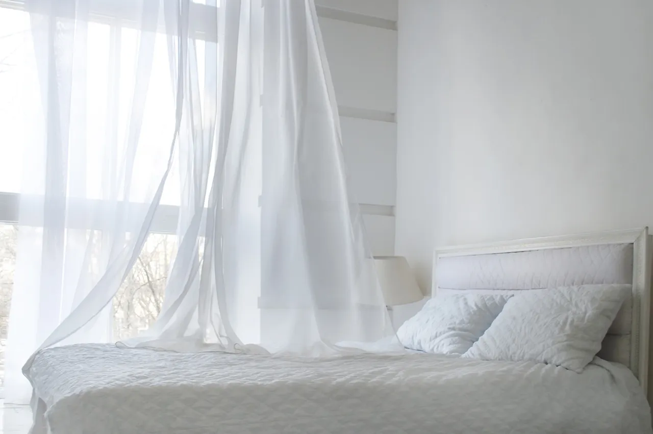 Zdjęcie Czy firany z batystu trzeba prasować? Odkryj łatwe sposoby pielęgnacji