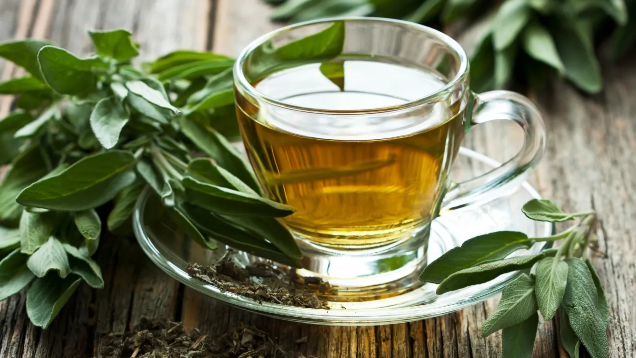 Zdjęcie Jak długo stosować szałwię na zatrzymanie laktacji, aby zadziałała?