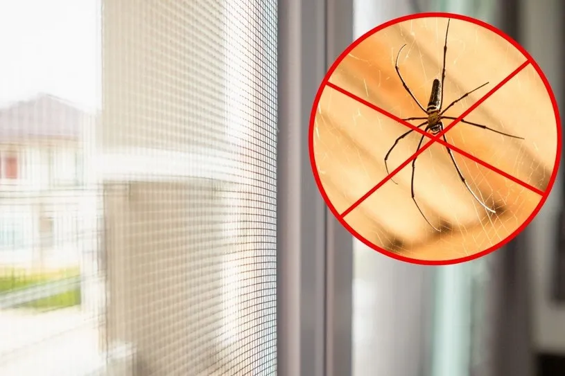 Zdjęcie Jak pozbyć się pająków z elewacji: 7 skutecznych metod