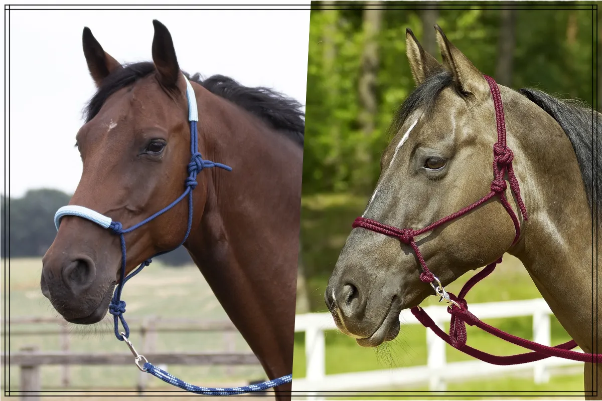 praca z ziemi z koniem kantar sznurkowy