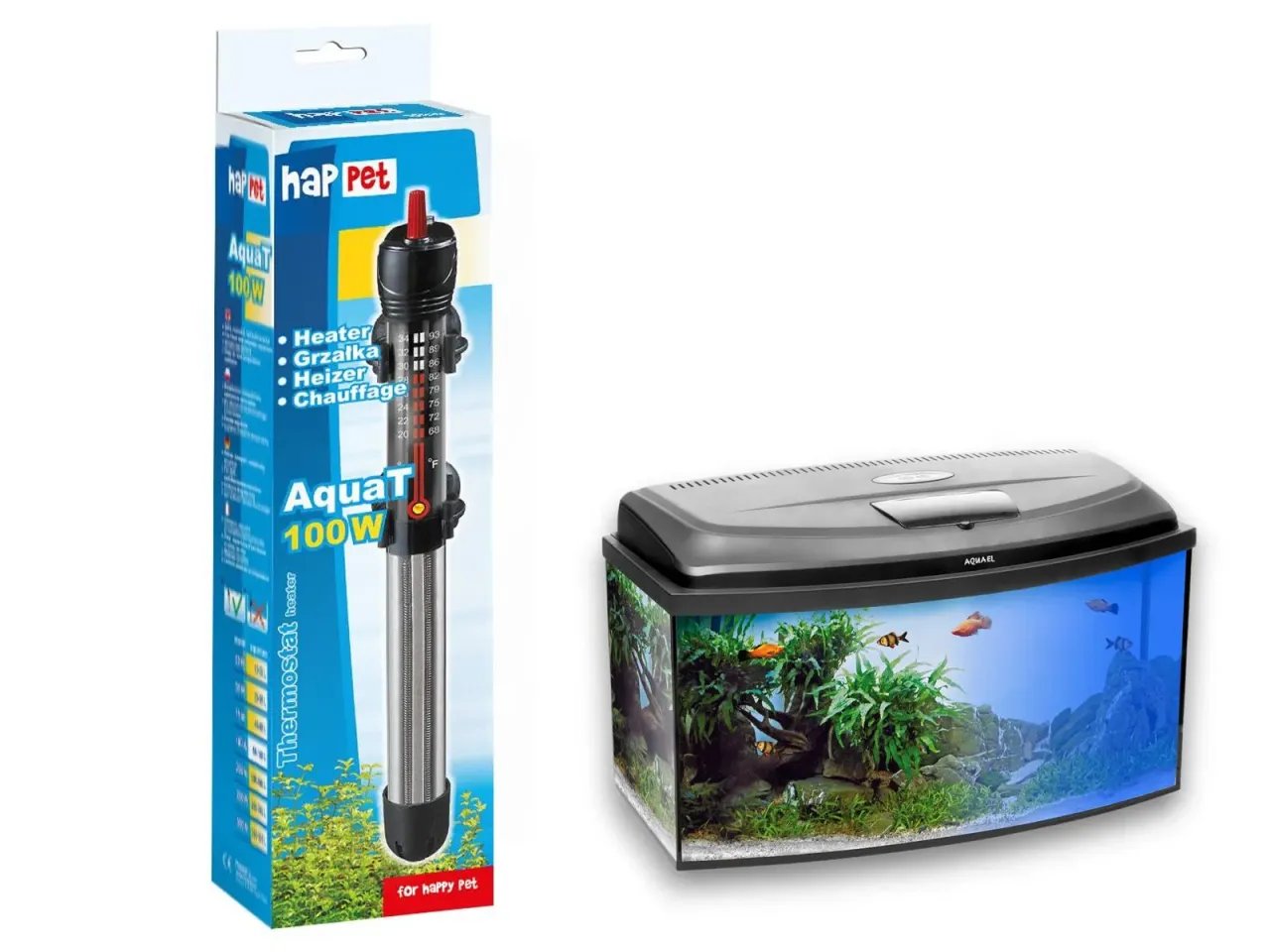 Akwarium towarzyskie z termometrem i grzałką