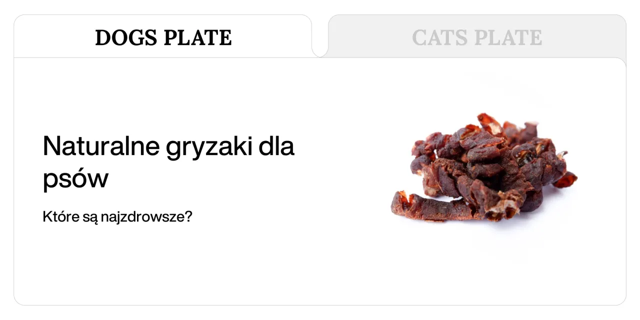 naturalne gryzaki dla szczeniaka rodzaje