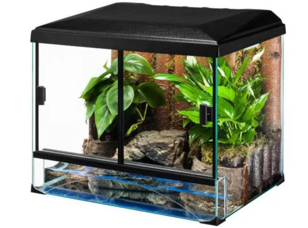 terraria dla r&oacute;żnych zwierząt przykłady