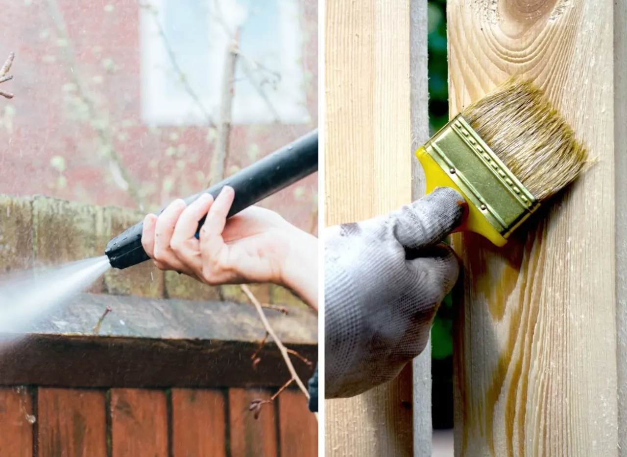 Mech na drewnianym płocie przed czyszczeniem