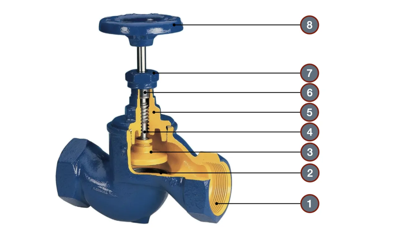 Zaw&oacute;r grzybkowy budowa przekr&oacute;j