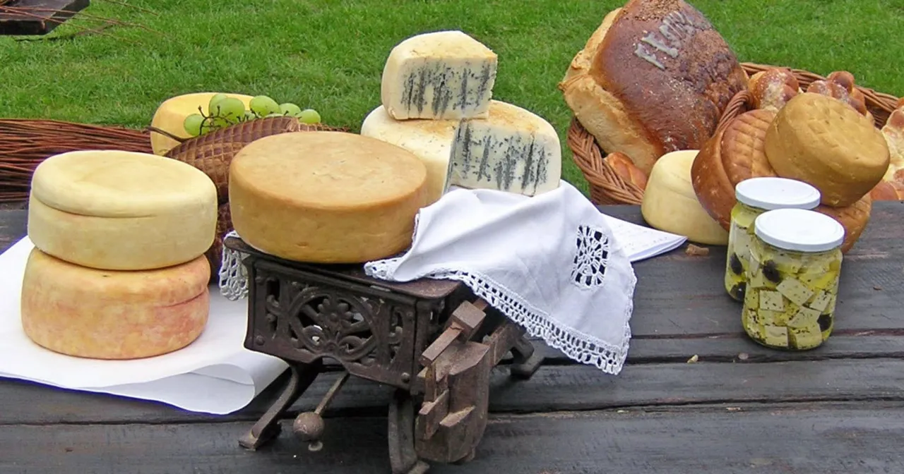 tabela porównanie ser owczy krowi