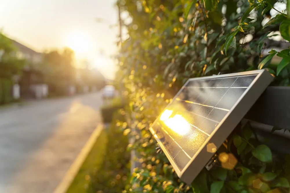 Zdjęcie Lampy solarne ogrodowe jakie kupić - uniknij najczęstszych błędów