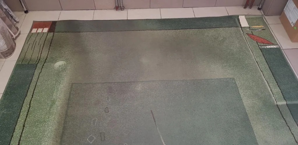 brudny dywan przed i czysty po praniu