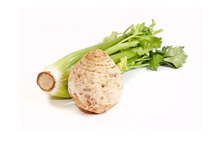 R&oacute;żne bezpieczne warzywa dla koni na stole