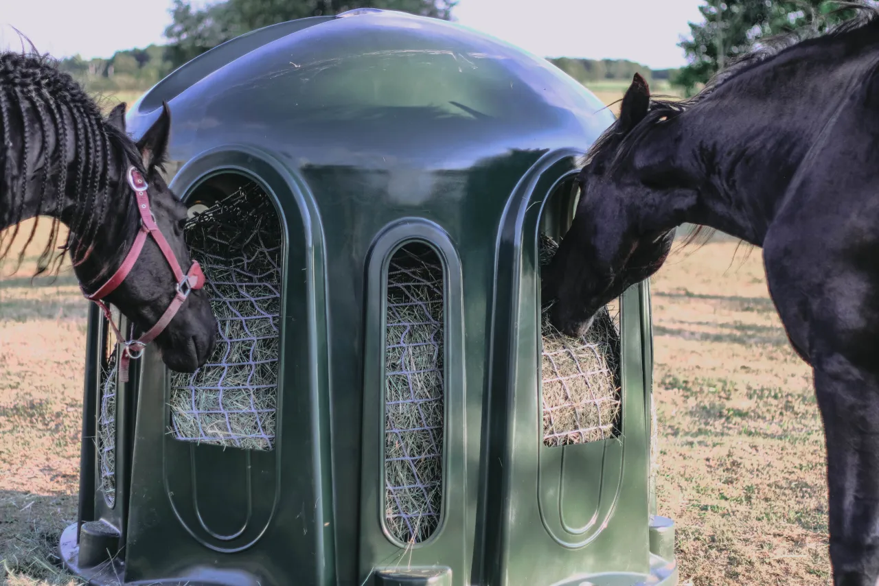 R&oacute;żne typy paśnik&oacute;w dla koni DIY