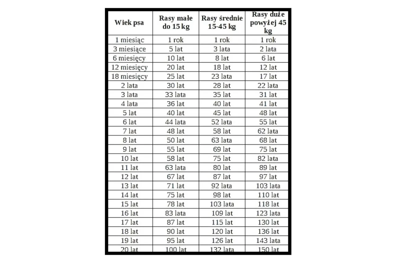 tabela wzrostu psa według rasy