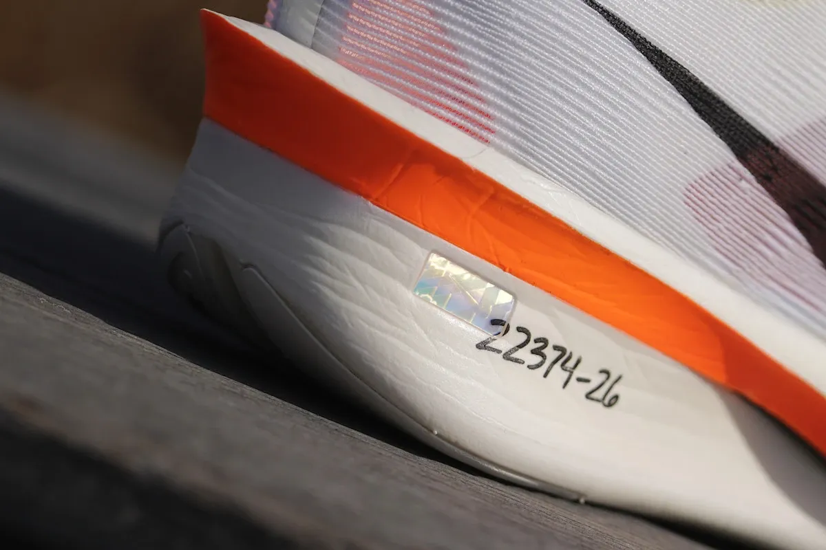 anatomia buta crossfitowego infografika