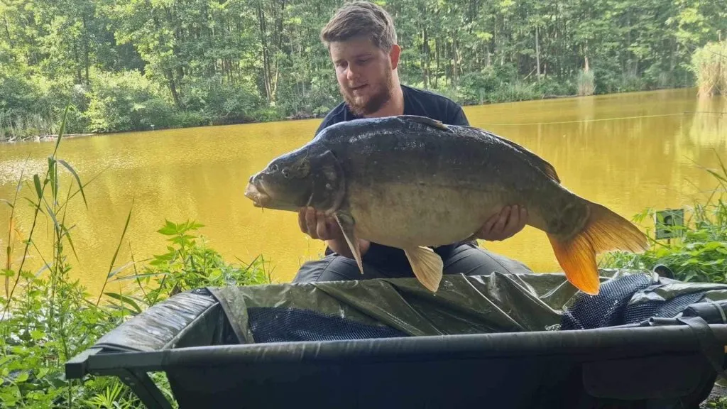 karp 20kg łowisko Forest Lake