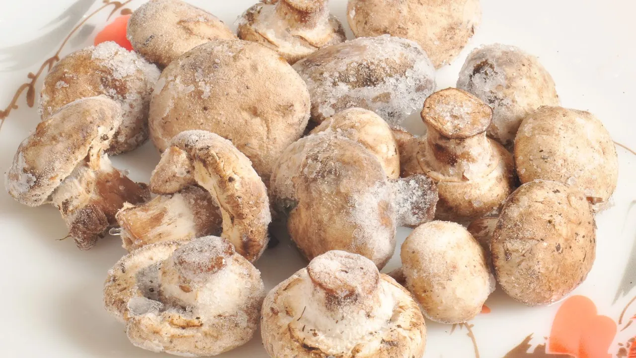 Zamrożone pieczarki na talerzu. Czy można mrozić pieczarki? Tak, jak widać na zdjęciu, są one gotowe do zamrożenia.